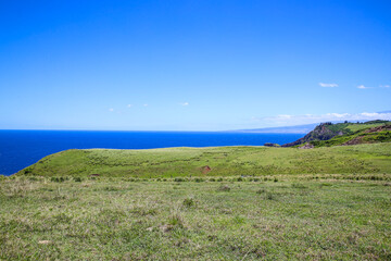 Beautiful country road, seaside pasture, Maui, Hawaii