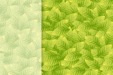 Fototapeta na wymiar leaf pattern background