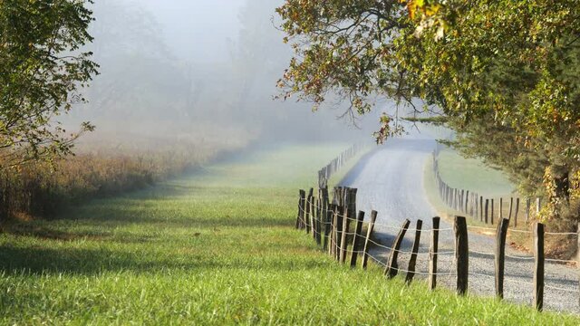 Medium, foggy autumn morning, Tennessee, USA
