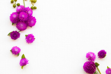 colorful flowers amaranth purple color local flora of asia arrangement flat lay postcard style on background white wooden