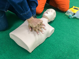 Training on first aid or cpr with puppets by using people for first aid and can be used in everyday...
