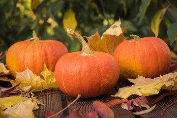 Three ripe pumpkins with autumn leaves on a wooden table.