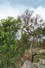 
Cliff with beautiful views and steep cliffs of Hua Nak at Chaiyaphum Thailand