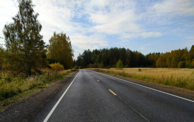 Fototapeta na wymiar empty road in the autumn landscape