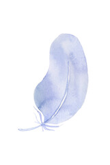 Beautiful decorative fairytale fluffy feather painted in watercolor isolated on white background