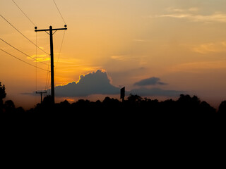 Green rice fields with the evening sun