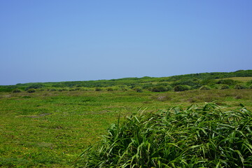 沖縄県波照間島の最南端の庭園