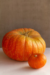 Orange and yellow pumpkins of different sizes on gray and white concrete background