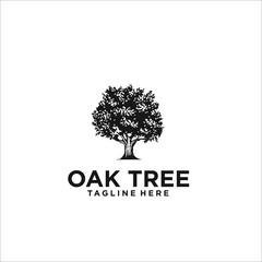 Obraz premium oak tree logo design template silhouette vector