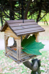 Naklejka premium wooden bird house feeder on a tree in the park with green maple leaf autumn mood