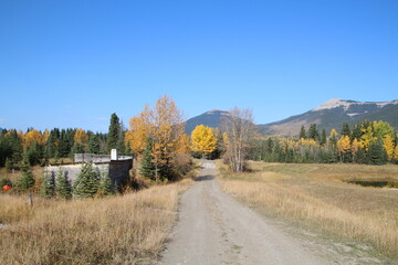 Fototapeta premium Autumn On The Old Road, Nordegg, Alberta