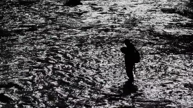 Medium, high angle, b&w, unrecognizable fisherman wades in Little River, North Carolina, USA