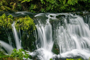 Fototapeta premium 滝と川