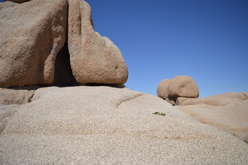 Small rock cave with a clear blue sky in Joshua Tree National Park