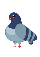 pigeon