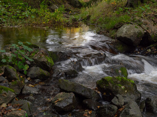 River in autumn- Farnebofjarden national park in north of Sweden.