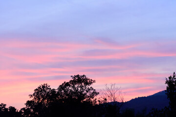 Obraz premium Beautiful sky with clouds during sunset with trees