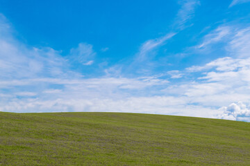 丘の風景　美瑛　拓進 BIEI