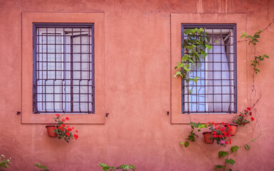 Fototapeta na wymiar iron railings secured window frames and flowers on colorful magenta wall, Rome Italy