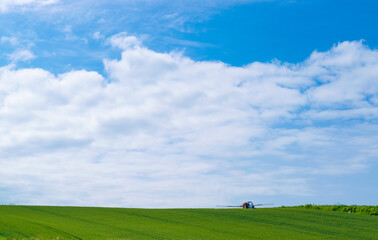 丘の風景　美瑛　拓進 BIEI