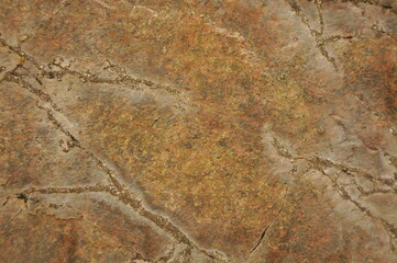 the texture of the stone