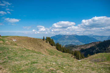 Beautiful swiss alps mountains. Alpine meadows.