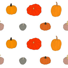 Pumpkin colorful seamles pattern. Vector illustration isolated on white background. Healthy vegetarian food. Doodle style. Decoration for greeting cards, posters, patches, prints for clothes, emblems.