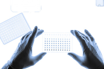 Dna Samples Are Loaded To 96-Well Plate For Pcr Analysis