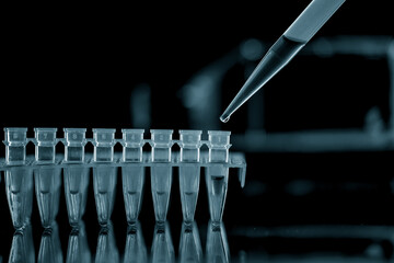  PCR Tube Strips Well  and Pipette in genetic research laboratory close up