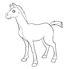 sketch of a cute foal, coloring book, isolated object on white background, cartoon illustration, vector illustration,