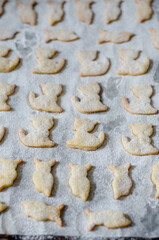 czech christmas cookies in animal shapes