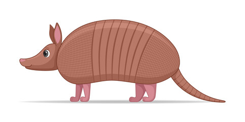 Armadillo animal standing on a white background