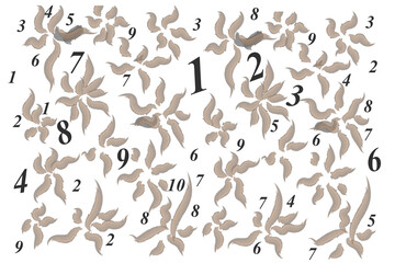 Numbers and watercolor flowers on white background
