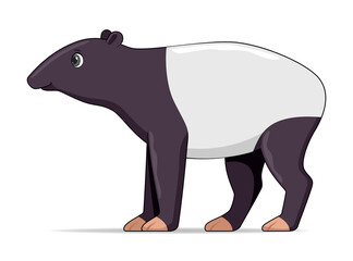Tapir standing on a white background