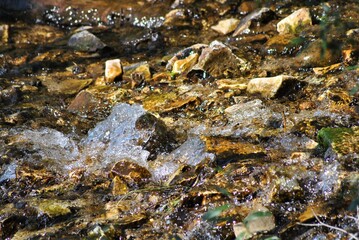 
Creek