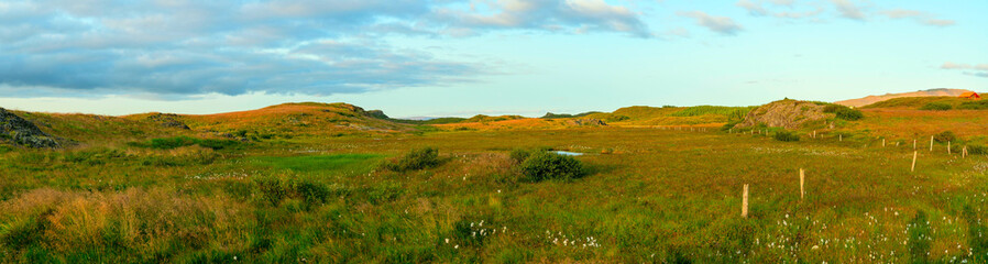 Fototapeta na wymiar Panorama of a green landscape in Iceland