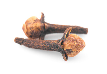 dry cloves on white background