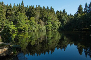 Obraz premium Pond on Pstruží potok near Mariánské Lázně,Plzeň Region,Czech Republic,Europe 