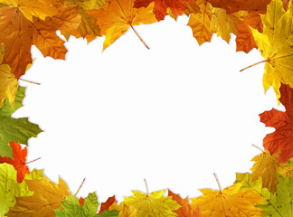 Autumn composition of yellow-orange leaves on a white background. Place for text. Flat lay.