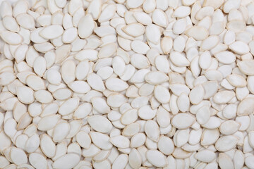 pumpkin seeds Macro texture background