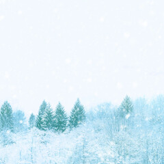 Winter forest, snowfall, blue tones