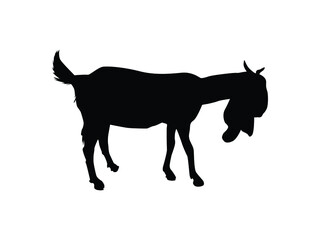 vector silhouette of a goat