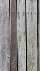 Old gray boards. A panel made of old weathered sedges. Wooden vintage background