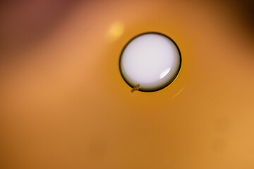 Oil drops in the water and milk create an artistic and imaginatively designed abstract background