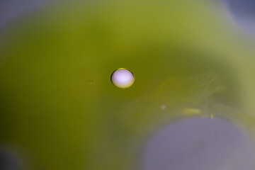 Oil drops in the water and milk create an artistic and imaginatively designed abstract background