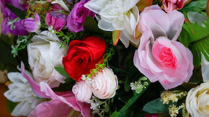 pink and white tulips