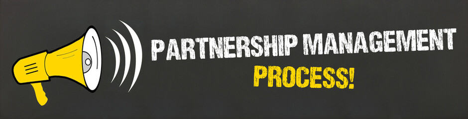 Partnership Management Process! 