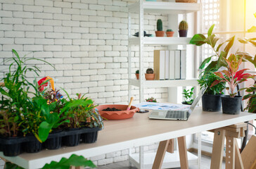 A room with a work desk And there were many trees on the table. In the concept of hobby With the arrangement of trees in the house Along with a laptop for finding information in taking care of plants