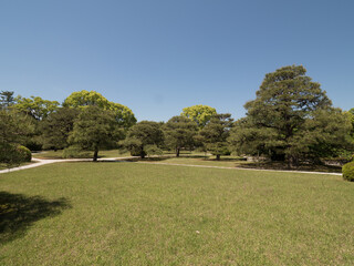 Fototapeta na wymiar Jardines del Castillo Nijo, en Kioto, Japón