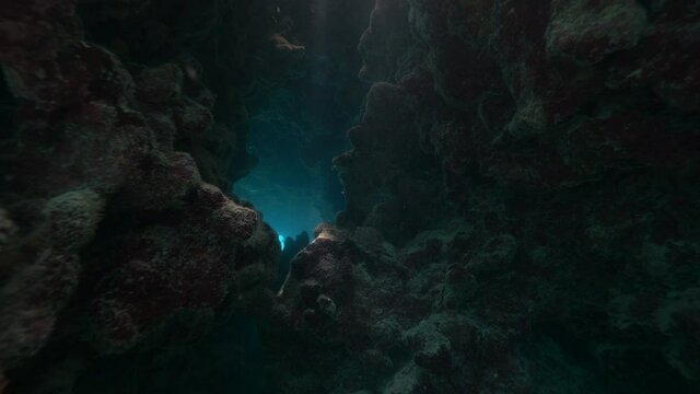 Underwater, pov, a cave in the coral reef, Anegada, British Virgin Islands